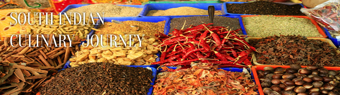 South Indian Journey